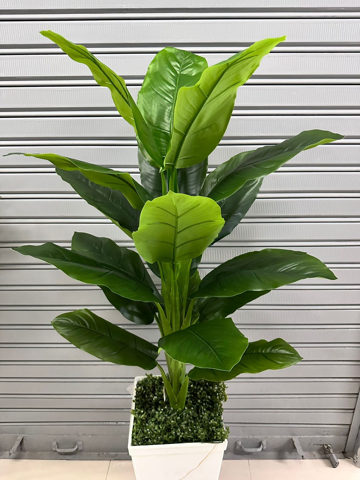 Planta de achira de 160cm — Plantas Artificiales